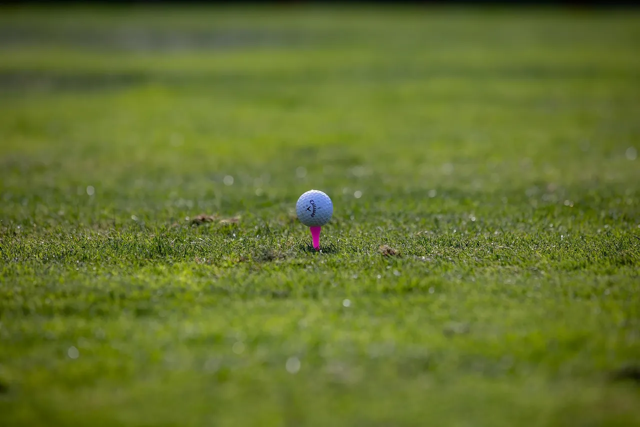 Golf y clima mediterráneo, tu equipo adaptado a Barcelona